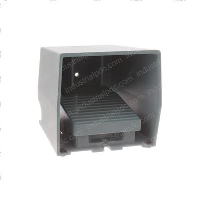 Picture of Switch - Foot