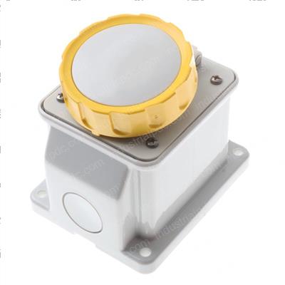 Picture of 16a 2p+e 115v Base