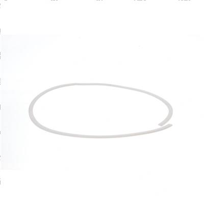 Picture of Ring - Back-Up