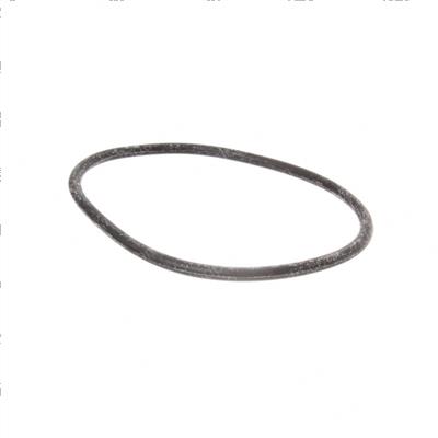Picture of O-Ring