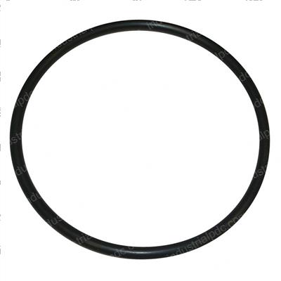 Picture of O-Ring