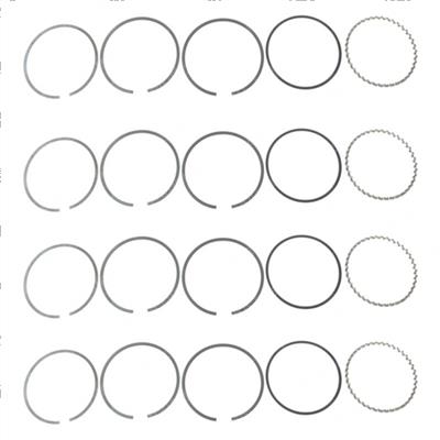Picture of Ring Kit - 4 Sets