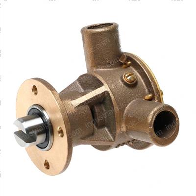 Picture of Water Pump