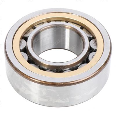 Picture of Bearing