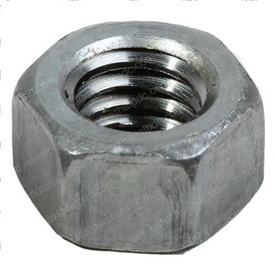 Picture of Nut
