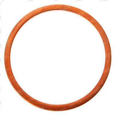 Picture of Gasket