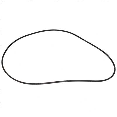 Picture of O-Ring