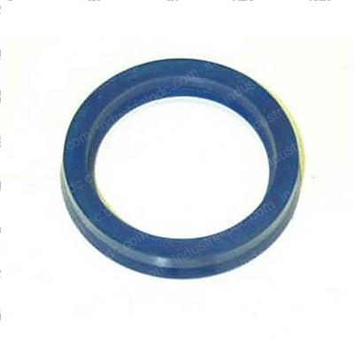 Picture of Seal - Ucup