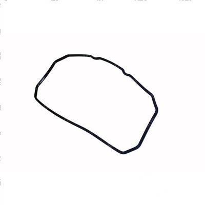 Picture of Gasket