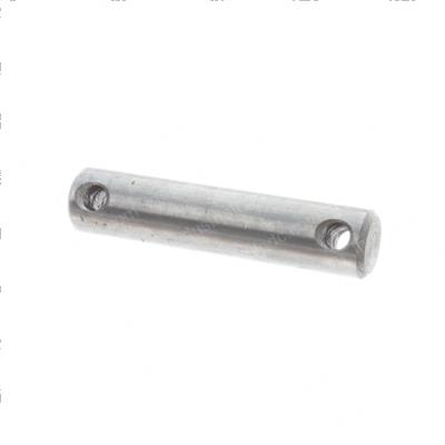 Picture of Pin - Chain Anchor