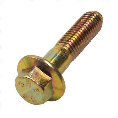 Picture of Bolt