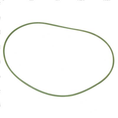 Picture of O-Ring