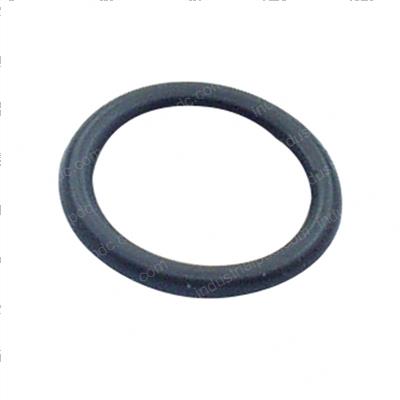 Picture of O-Ring