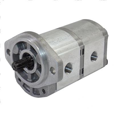 Picture of Gear Pump