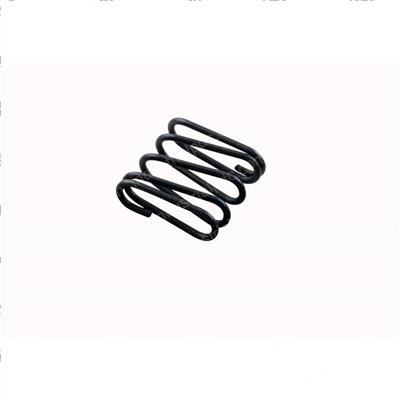 Picture of Spring - Strut