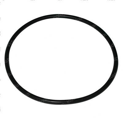 Picture of O-Ring