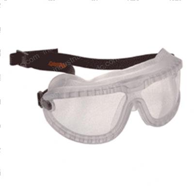 Picture of Goggle