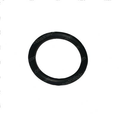 Picture of O-Ring