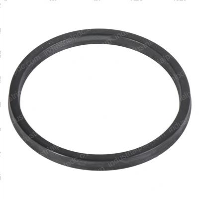 Picture of Seal - General