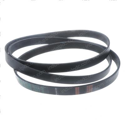Picture of Belt - Serpentine