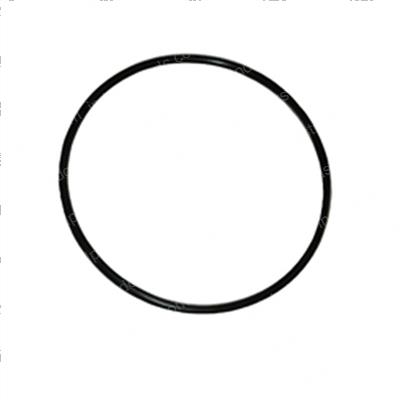 Picture of O-Ring