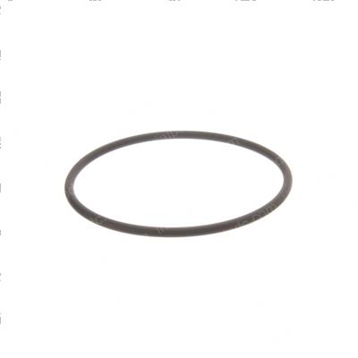 Picture of O-Ring