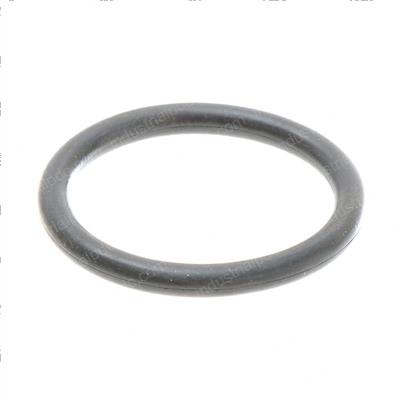 Picture of O-Ring