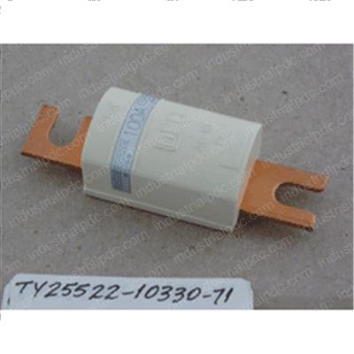 Picture of Fuse 100a