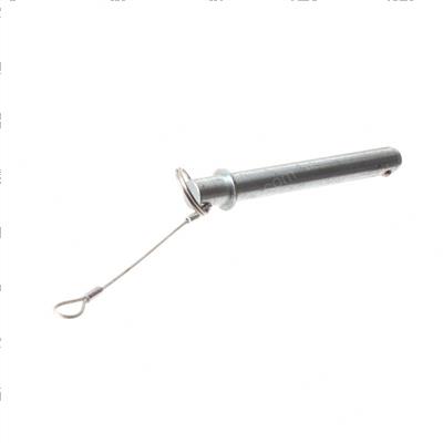 Picture of Pin Detent Assembly