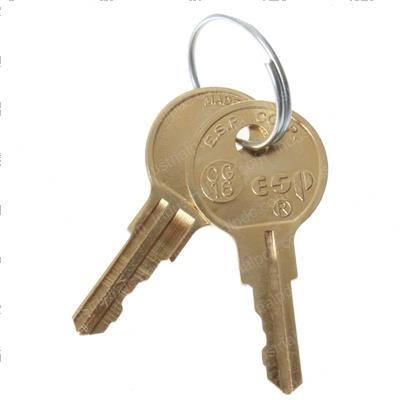 Picture of Set of 2 Keys