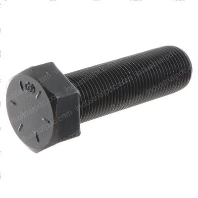 Picture of Bolt