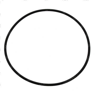 Picture of O - Ring