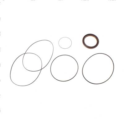 Picture of Seal  Kit -  Motor