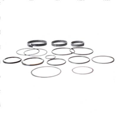Picture of Seal Kit Lwr Lift Cyl X91rt
