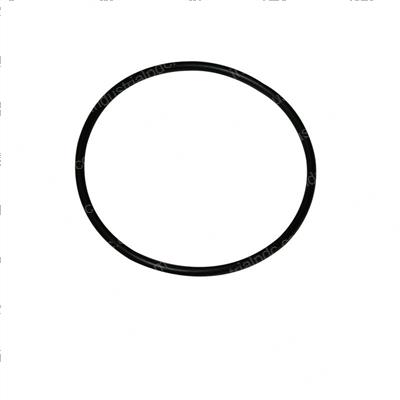 Picture of O-Ring