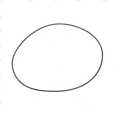 Picture of O-Ring