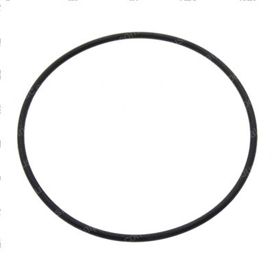 Picture of O-Ring
