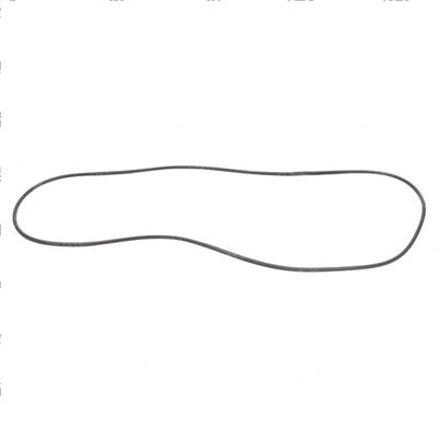 Picture of O-Ring