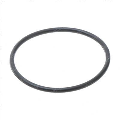 Picture of O-Ring