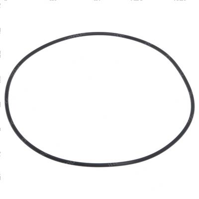 Picture of O-Ring