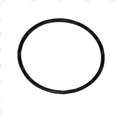 Picture of O-Ring