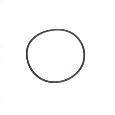 Picture of O-Ring
