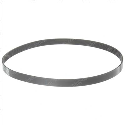 Picture of Belt - Serpentine