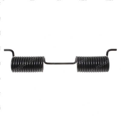 Picture of Spring Torsion