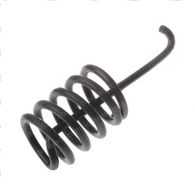 Picture of Spring - Hold Down