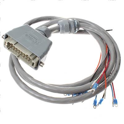 Picture of Cable - W/Plug