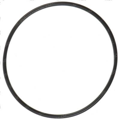 Picture of O-Ring