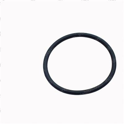 Picture of O-Ring
