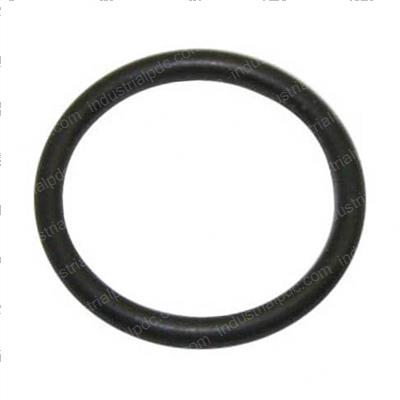 Picture of O-Ring