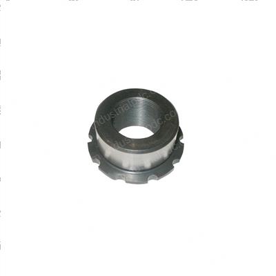 Picture of Nut